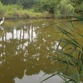 Review photo of Jellystone Park™ Chincoteague Island by Tori K., October 29, 2021