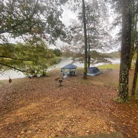 Looking from camp pad toward lake