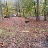 Review photo of Tishomingo State Park Campground by Daniel K., October 29, 2021