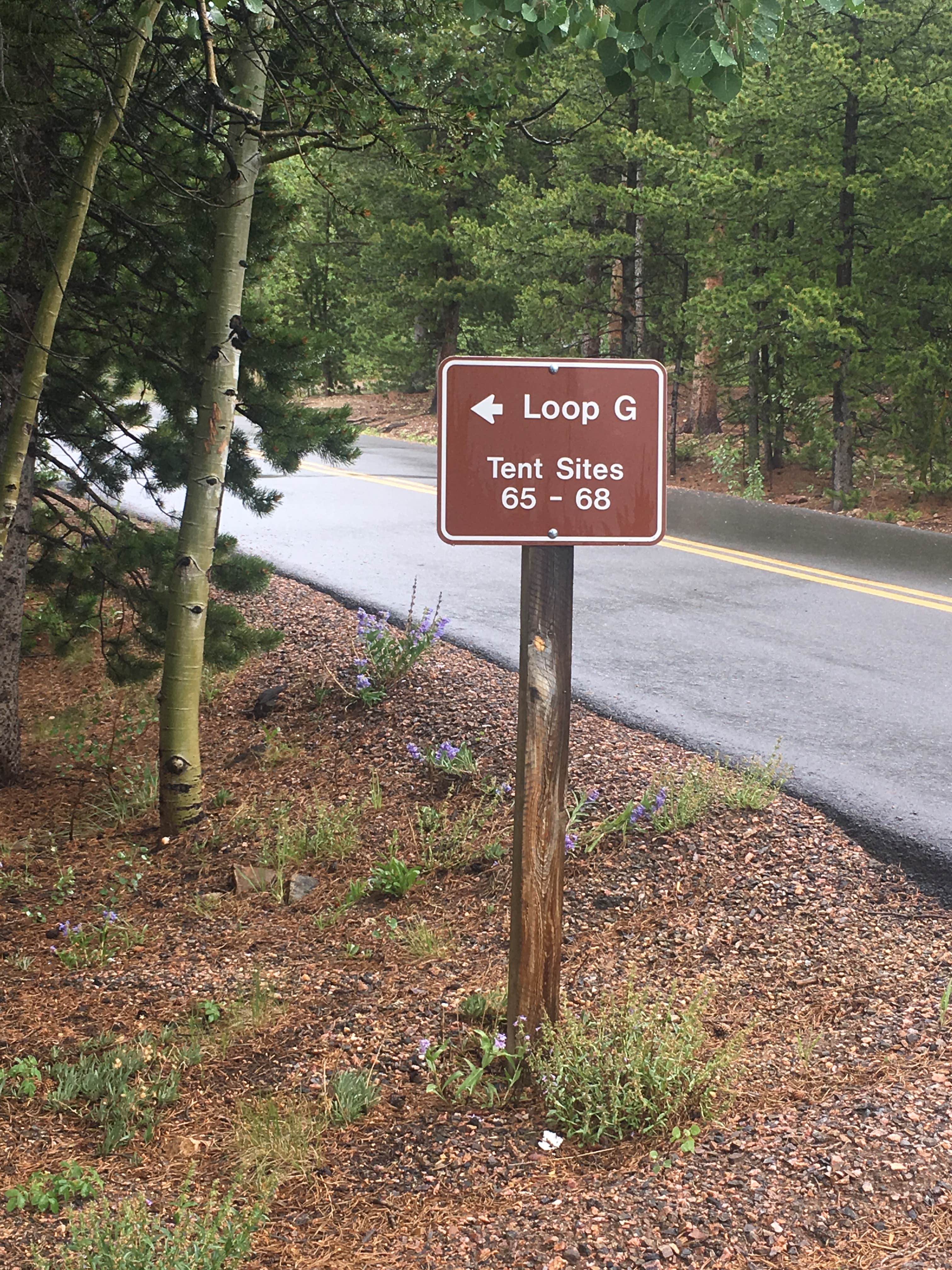 Camper submitted image from Deer Creek Campground — Golden Gate Canyon - 4
