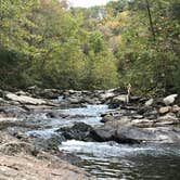 Review photo of Gooney Creek Campground by Dan & Karen  M., October 29, 2021