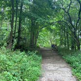 Review photo of Potato Creek State Park Campground by Claire M., October 29, 2021