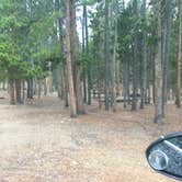 Review photo of Deer Creek Campground — Golden Gate Canyon by Paul P., July 6, 2018