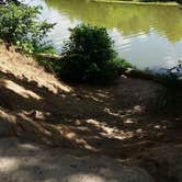 Review photo of Hueston Woods State Park Campground by Amber R., July 6, 2018