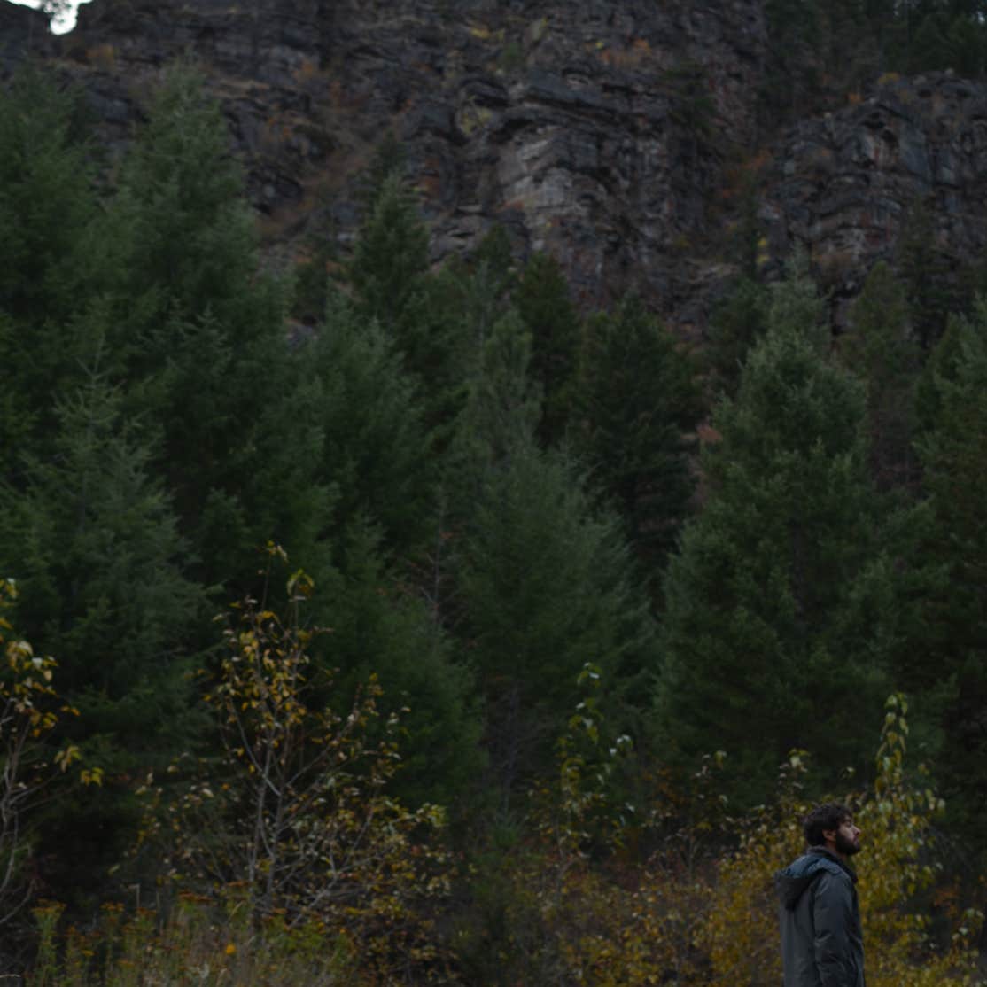 Petty Creek Road Dispersed Camping Camping The Dyrt