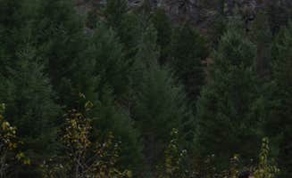 Lizzy K.'s photo of camping with pets at Petty Creek Road Dispersed Camping near Missoula, MT