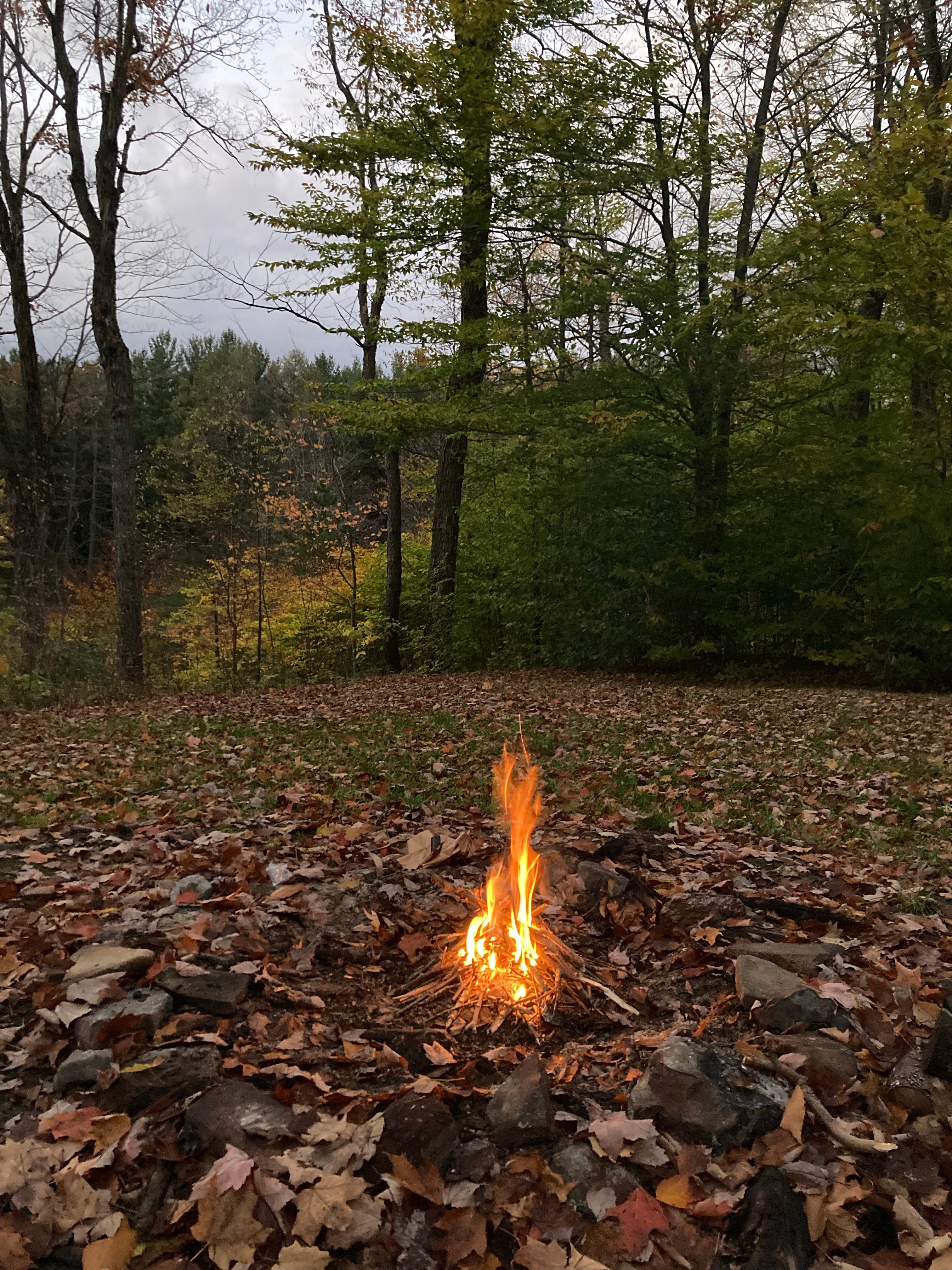 Camper submitted image from Palmers Pond State Forest - 1