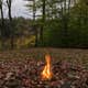 Palmers Pond State Forest
