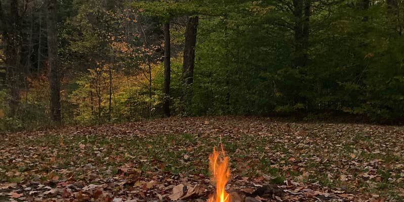 Camper submitted image from Palmers Pond State Forest