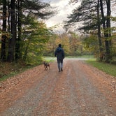 Review photo of Palmers Pond State Forest by Lizzy K., October 29, 2021