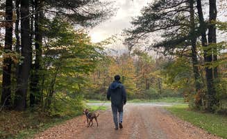 Lizzy K.'s photo of camping with pets at Palmers Pond State Forest near Shinglehouse, PA