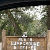 Review photo of Fontainebleau State Park Campground by Tyler H., October 29, 2021