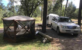 William N.'s photo at Cool Pines RV Park near Weed, NM