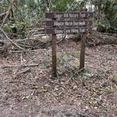 Review photo of Fontainebleau State Park Campground by Tyler H., October 29, 2021