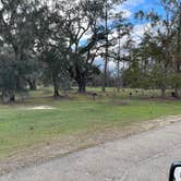 Review photo of Fontainebleau State Park Campground by Tyler H., October 29, 2021