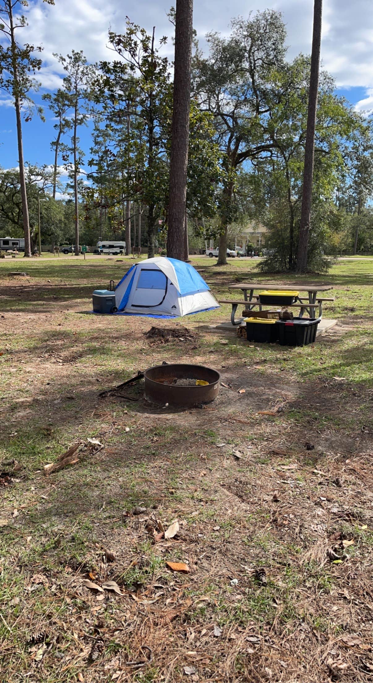 Tyler H.'s photo at Fairview-Riverside State Park near Maurepas, LA