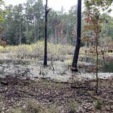 Review photo of Santee State Park--Lakeshore Campground by David L., October 30, 2021