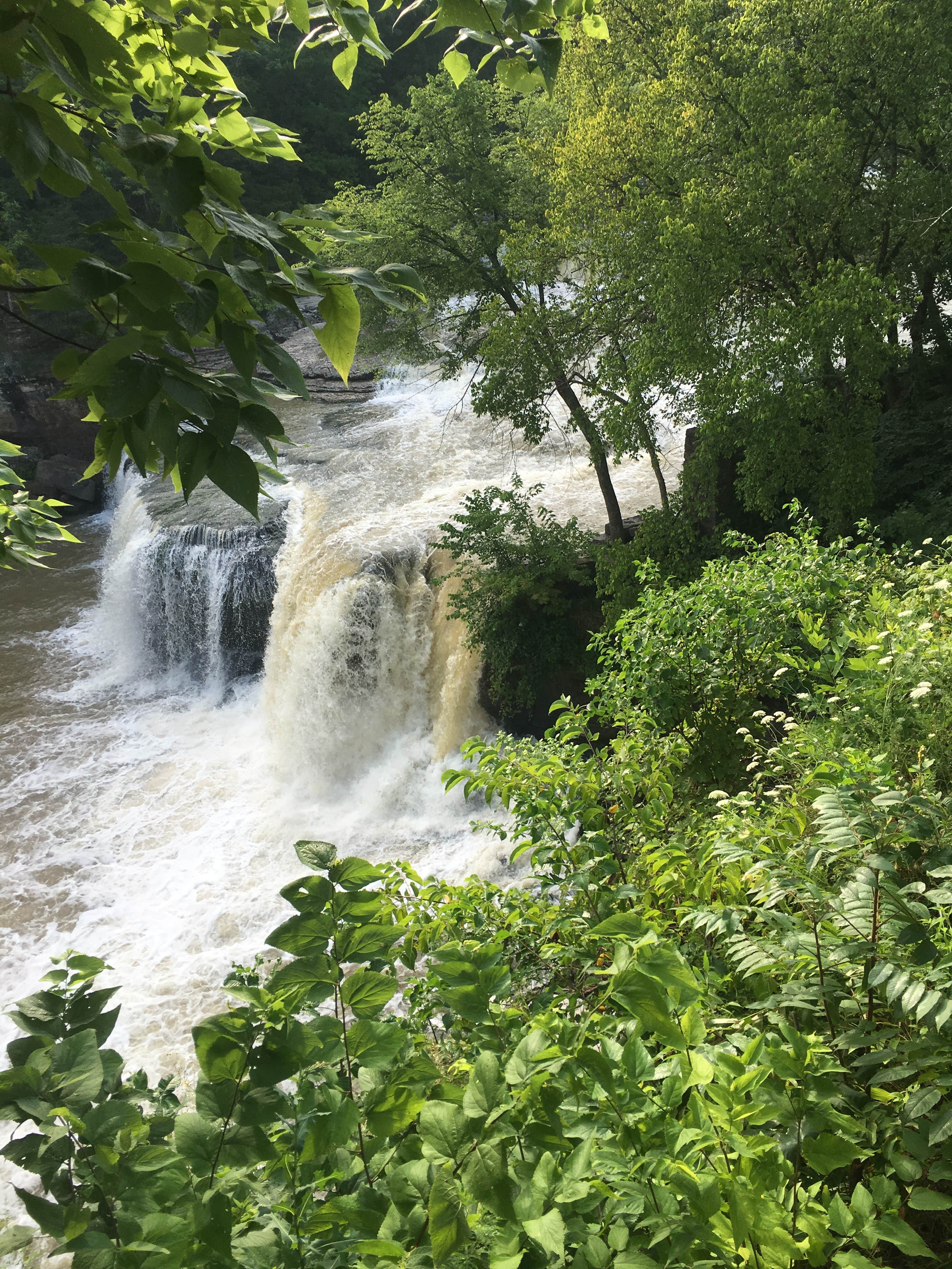 Camper submitted image from Lieber State Recreation Area - 3
