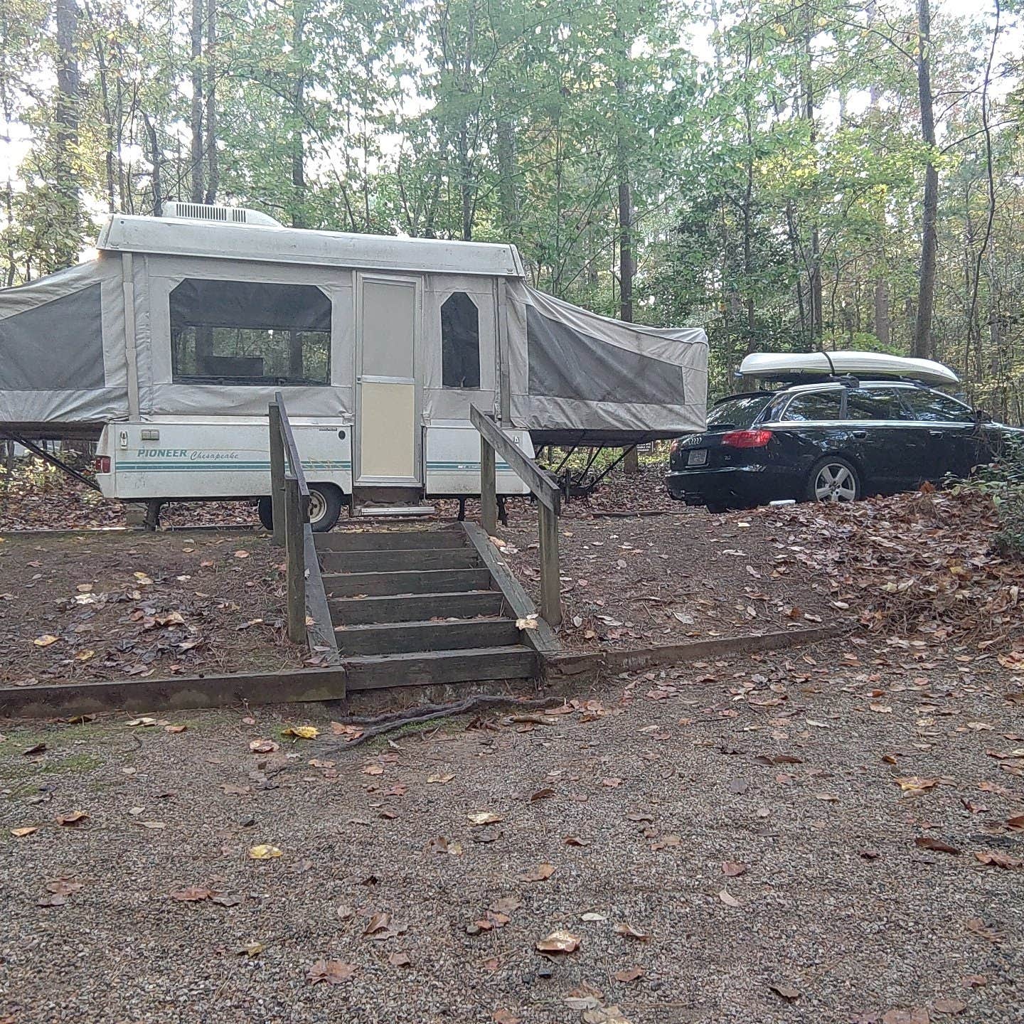 adam B.'s photo at Holly Point — Falls Lake State Recreation Area near Middlesex, NC