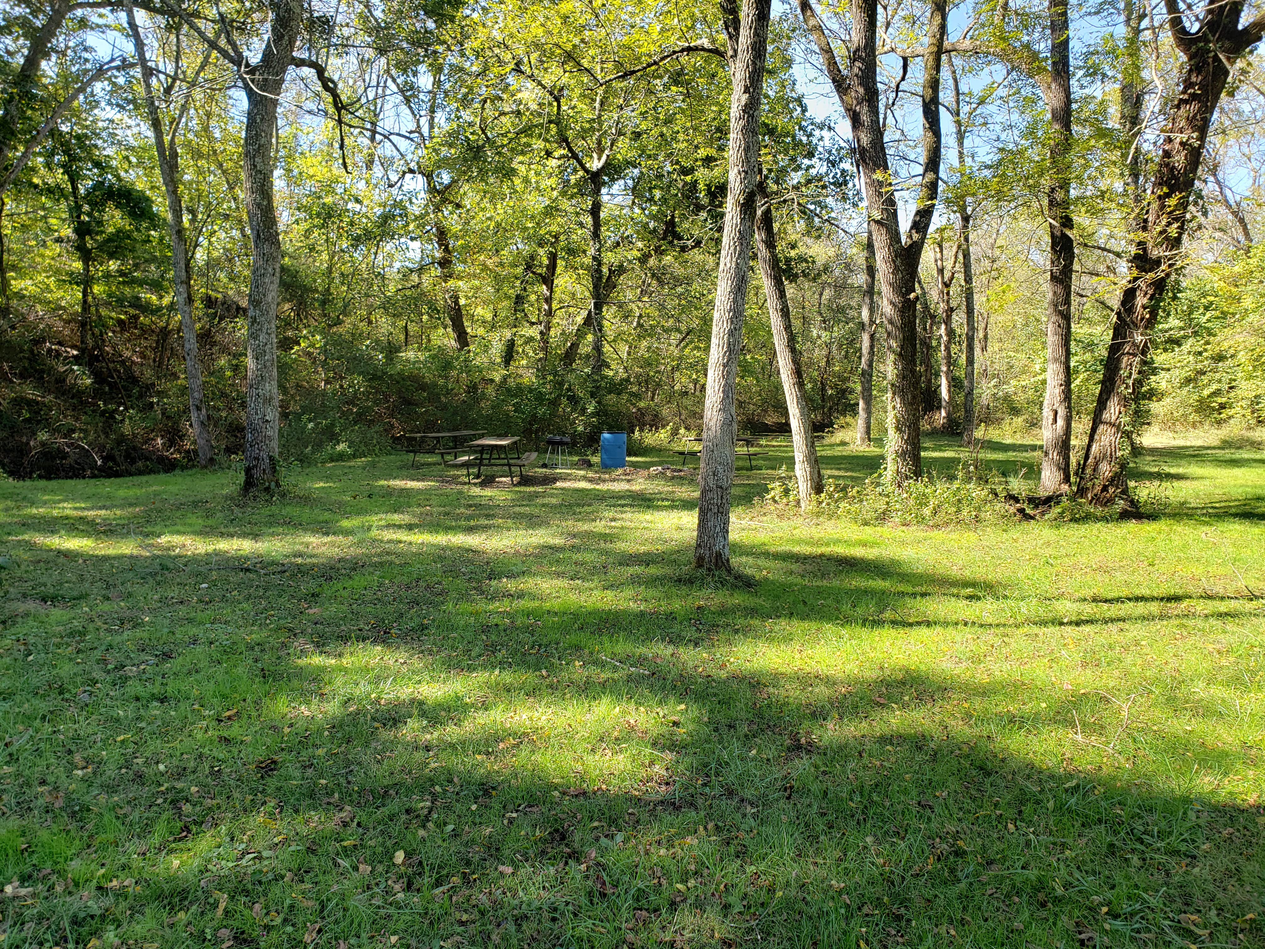 Camper submitted image from Gibson Spring Back Country Site - Fort Crowder Conservation Area - 1