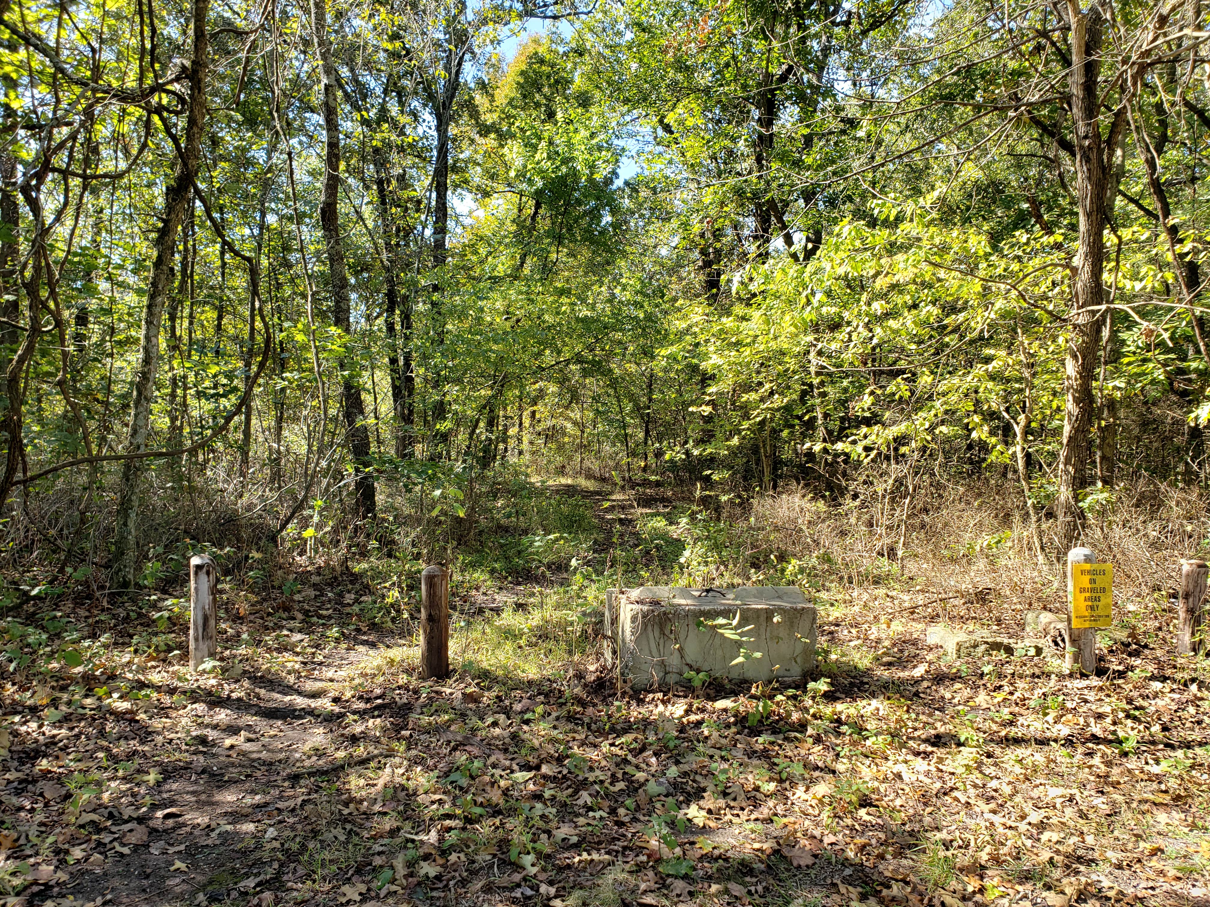 Camper submitted image from Gibson Spring Back Country Site - Fort Crowder Conservation Area - 2