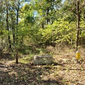 Review photo of Gibson Spring Back Country Site - Fort Crowder Conservation Area by Dexter I., October 30, 2021