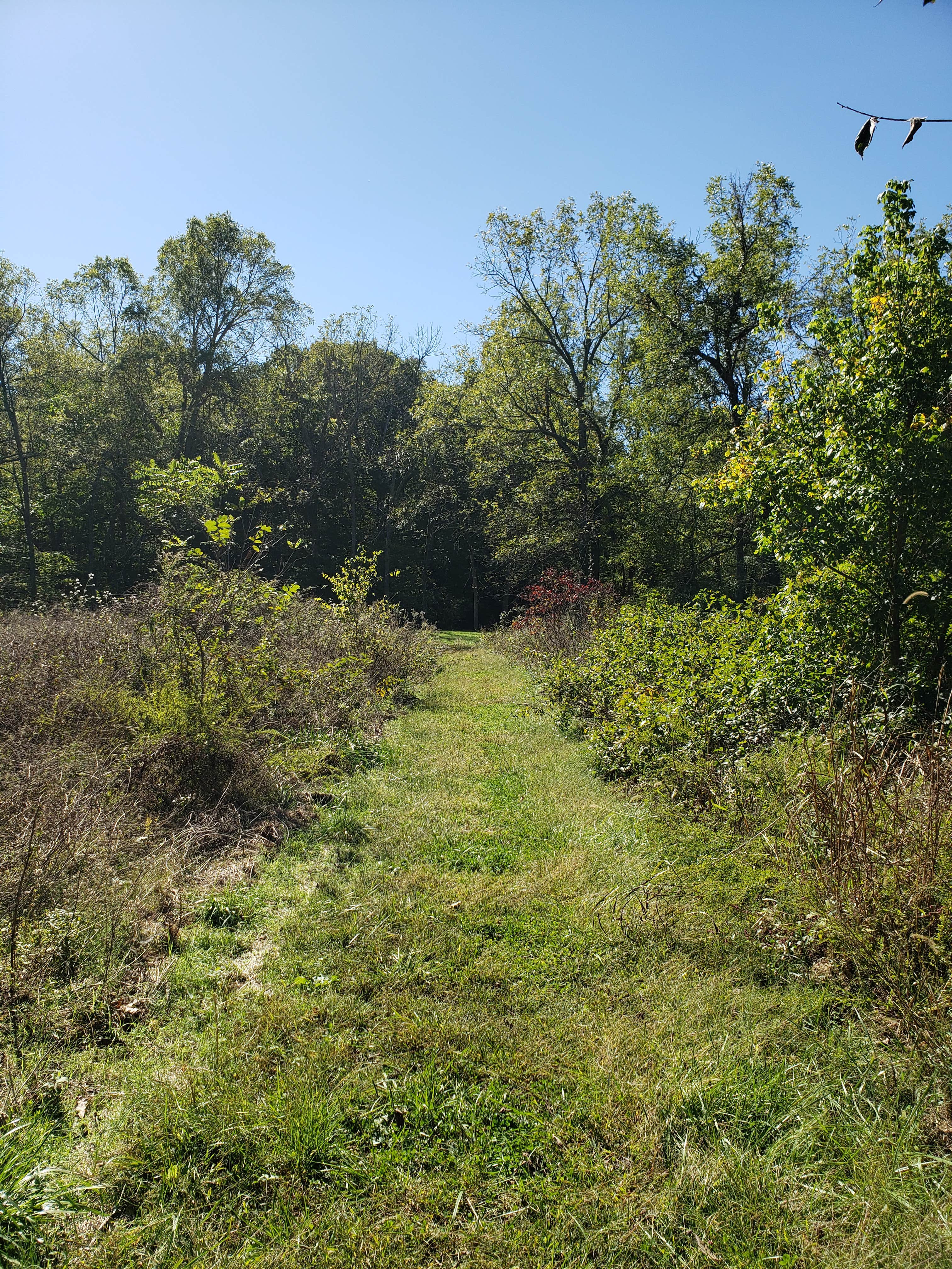 Camper-submitted photo at Gibson Spring Back Country Site - Fort Crowder Conservation Area near Neosho, MO
