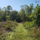 Review photo of Gibson Spring Back Country Site - Fort Crowder Conservation Area by Dexter I., October 30, 2021