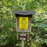 Review photo of Gibson Spring Back Country Site - Fort Crowder Conservation Area by Dexter I., October 30, 2021