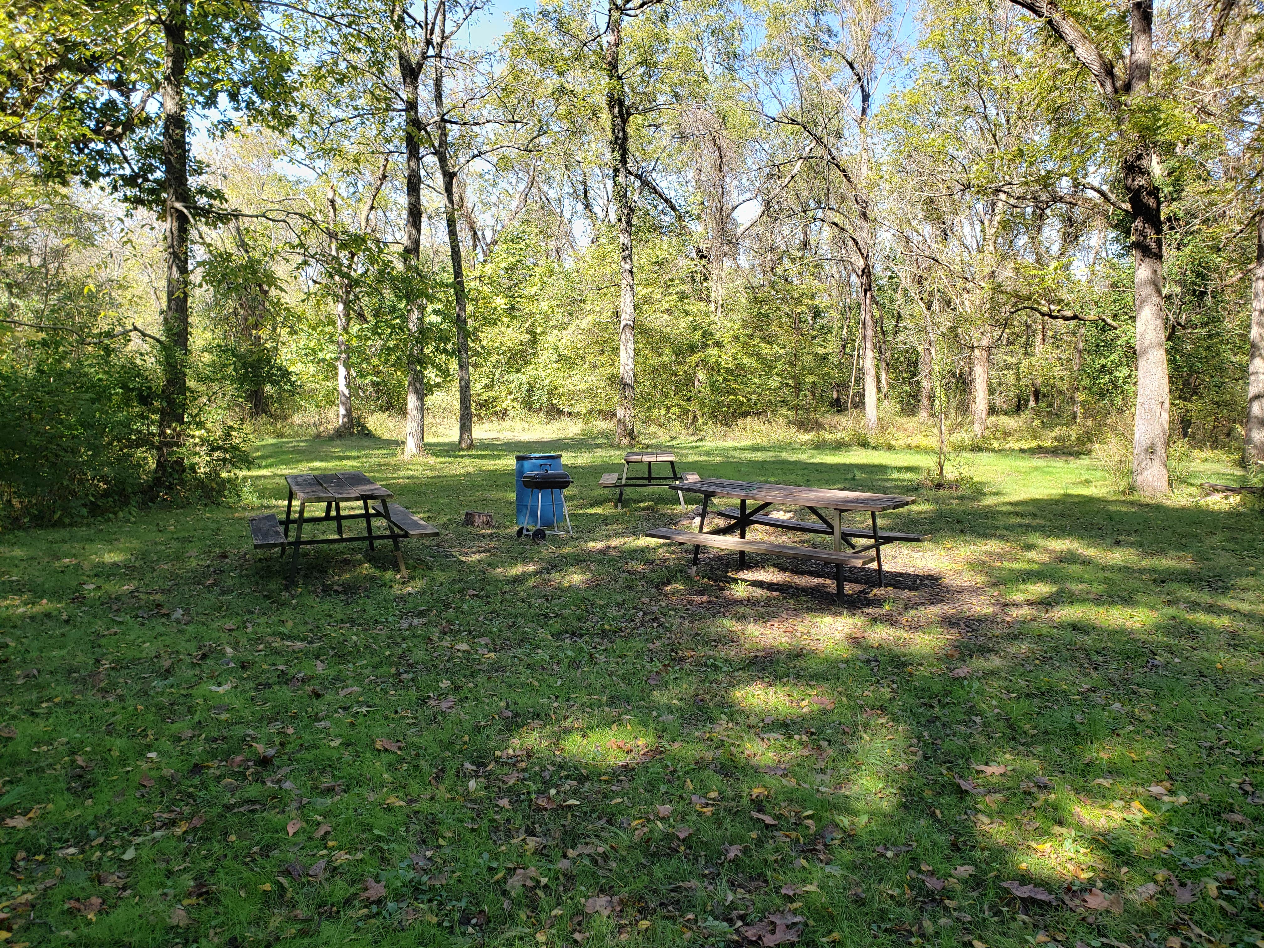 Camper submitted image from Gibson Spring Back Country Site - Fort Crowder Conservation Area - 5