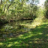 Review photo of Gibson Spring Back Country Site - Fort Crowder Conservation Area by Dexter I., October 30, 2021