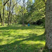 Review photo of Gibson Spring Back Country Site - Fort Crowder Conservation Area by Dexter I., October 30, 2021