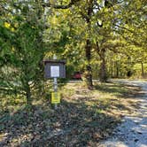 Review photo of Gibson Spring Back Country Site - Fort Crowder Conservation Area by Dexter I., October 30, 2021