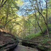 Review photo of Starved Rock Campground — Starved Rock State Park by Amanda S., October 30, 2021