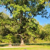 Review photo of Starved Rock Campground — Starved Rock State Park by Amanda S., October 30, 2021