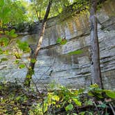 Review photo of Starved Rock Campground — Starved Rock State Park by Amanda S., October 30, 2021