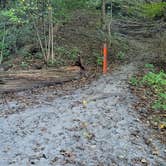 Review photo of Starved Rock Campground — Starved Rock State Park by Amanda S., October 30, 2021