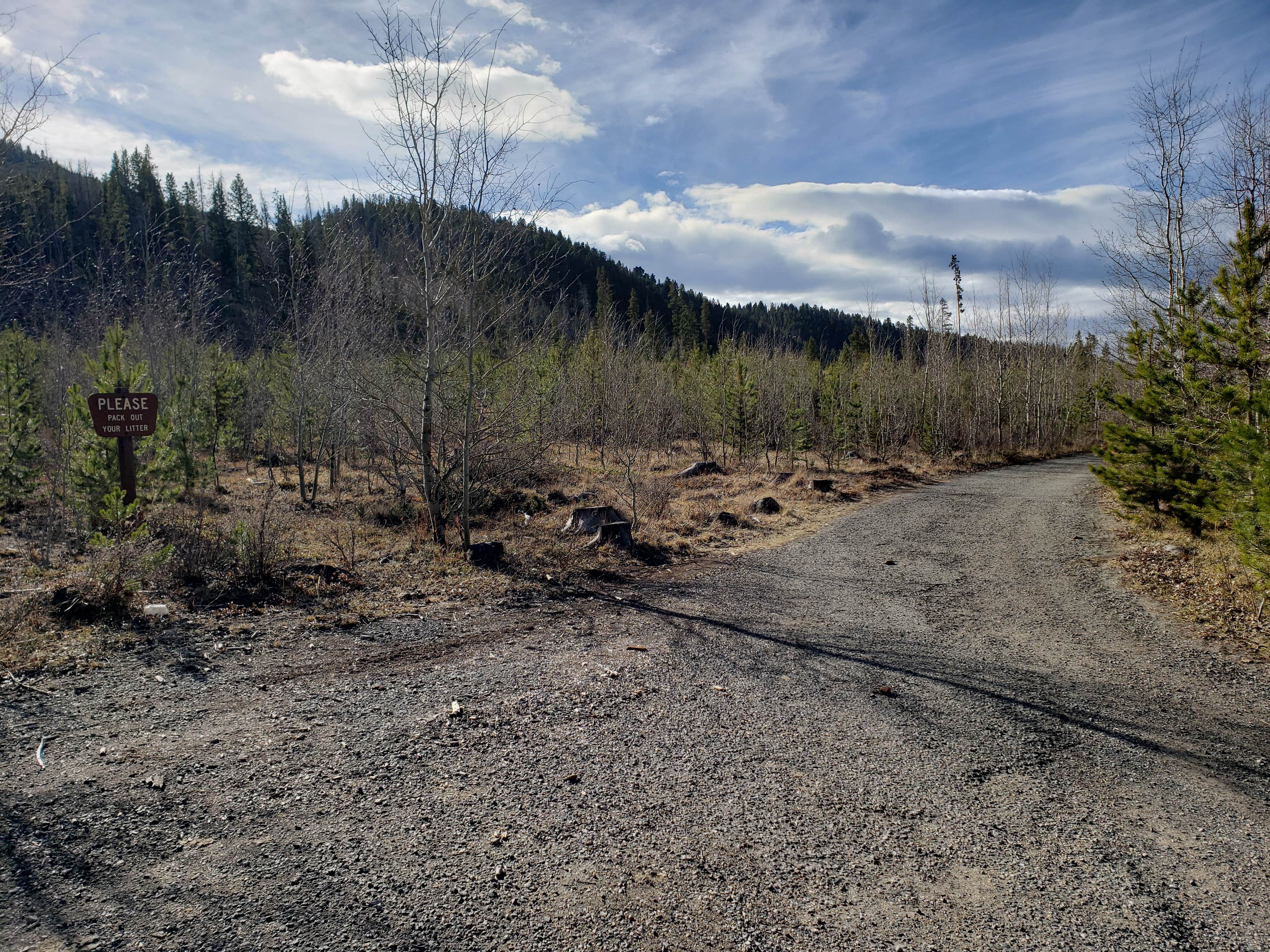 Camper submitted image from Deerlodge National Forest Ladysmith Campground - 1