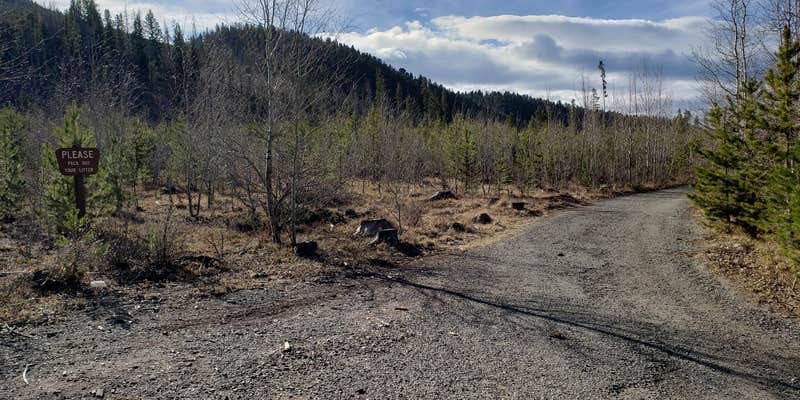 Camper submitted image from Deerlodge National Forest Ladysmith Campground