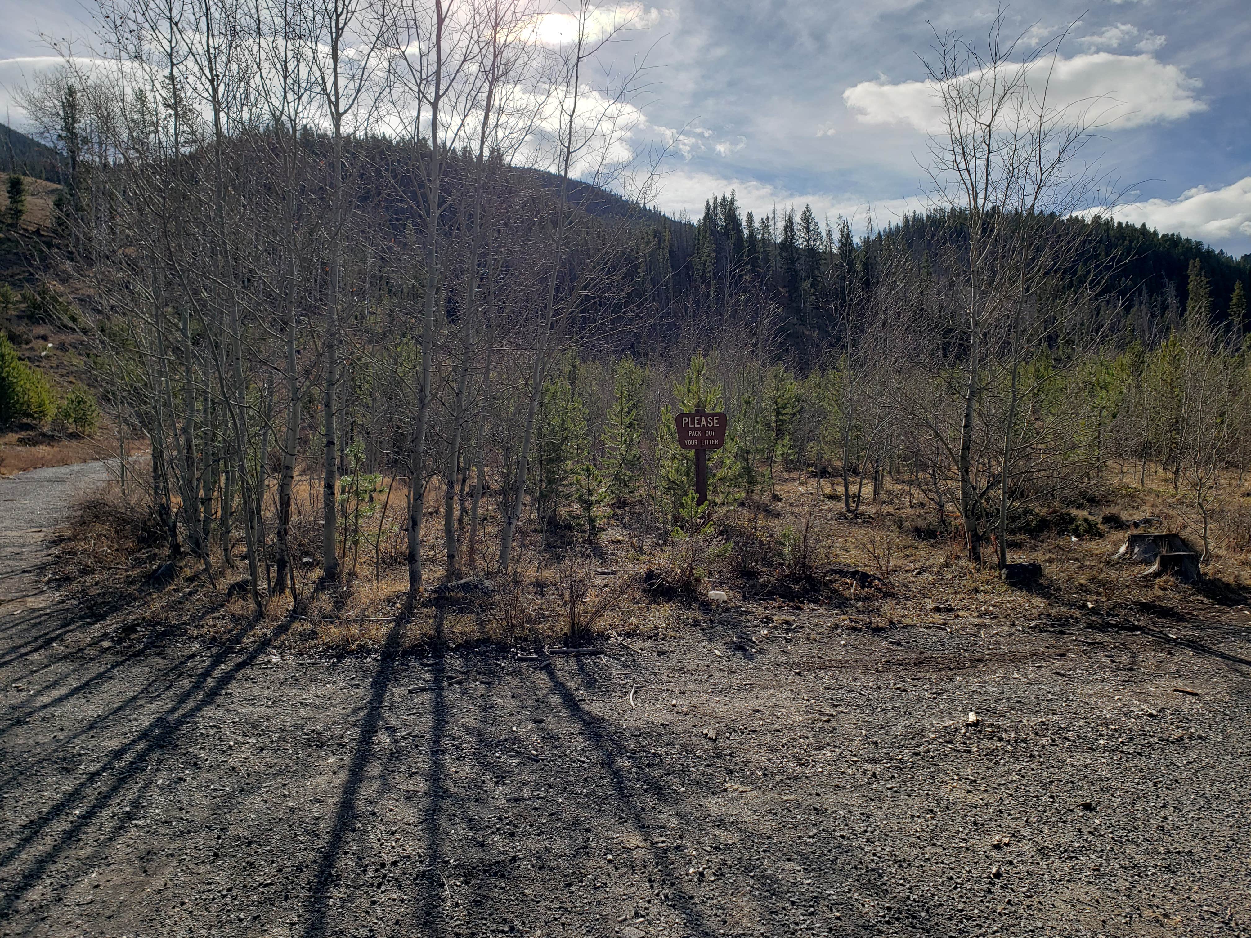 Camper submitted image from Deerlodge National Forest Ladysmith Campground - 3