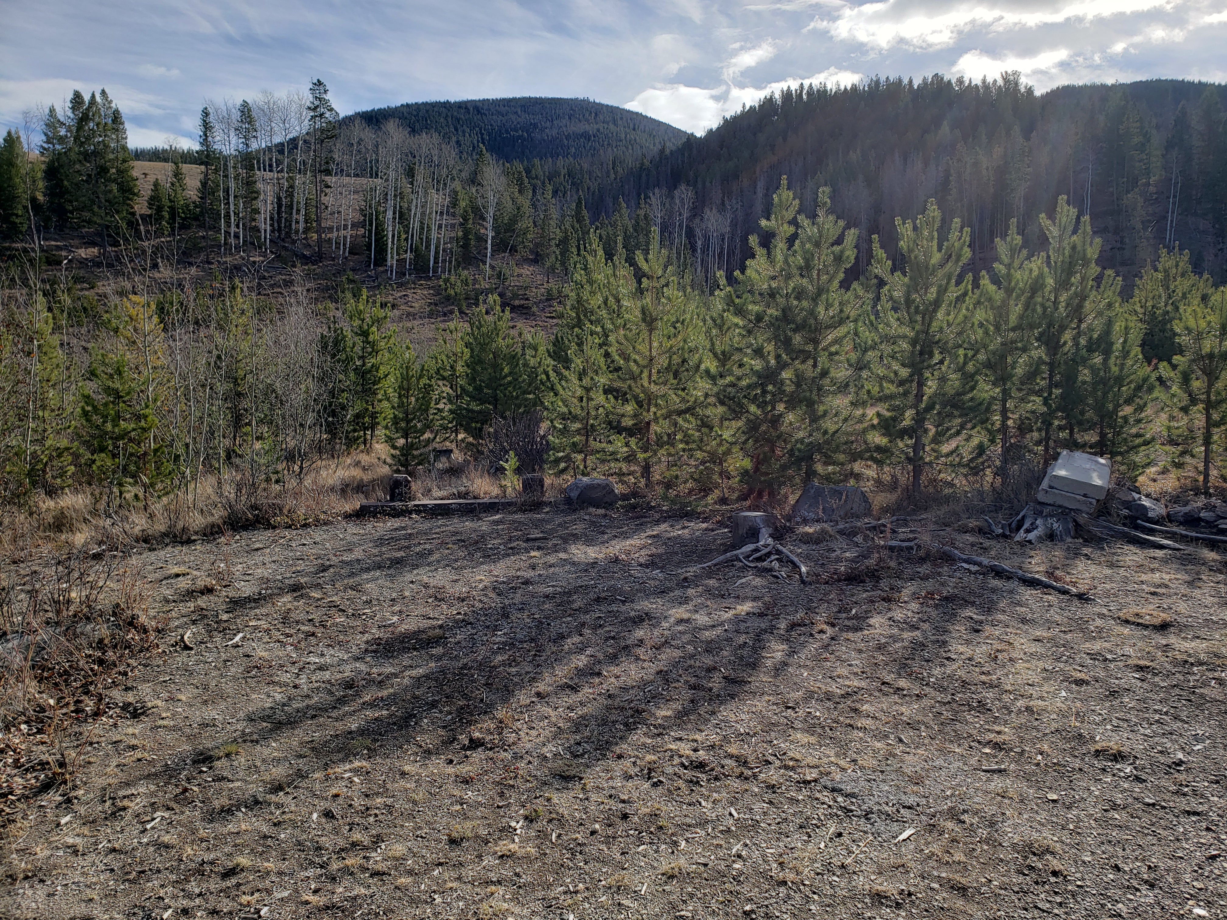 Camper submitted image from Deerlodge National Forest Ladysmith Campground - 2
