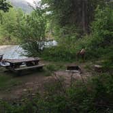 Review photo of Poplar Flat Campground by Judy T., October 29, 2021