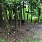 Review photo of Red House Area — Allegany State Park State Park by Sara C., July 6, 2018