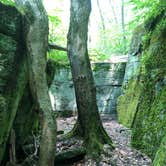 Review photo of Red House Area — Allegany State Park State Park by Sara C., July 6, 2018