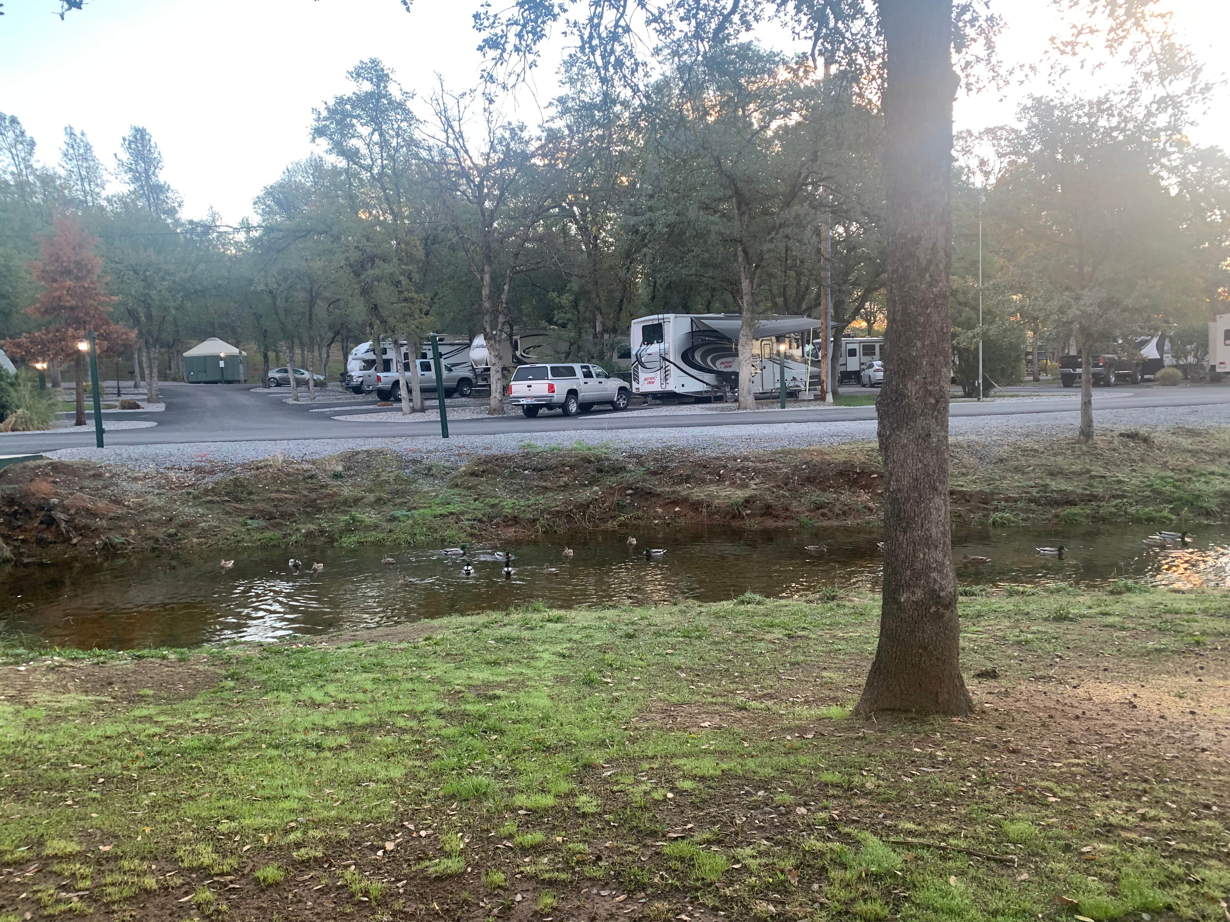Leeann L.'s photo of rv camping at Boulder Creek RV Redding near Lassen Volcanic National Park