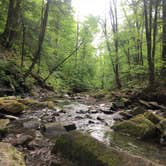 Review photo of Red House Area — Allegany State Park State Park by Sara C., July 6, 2018