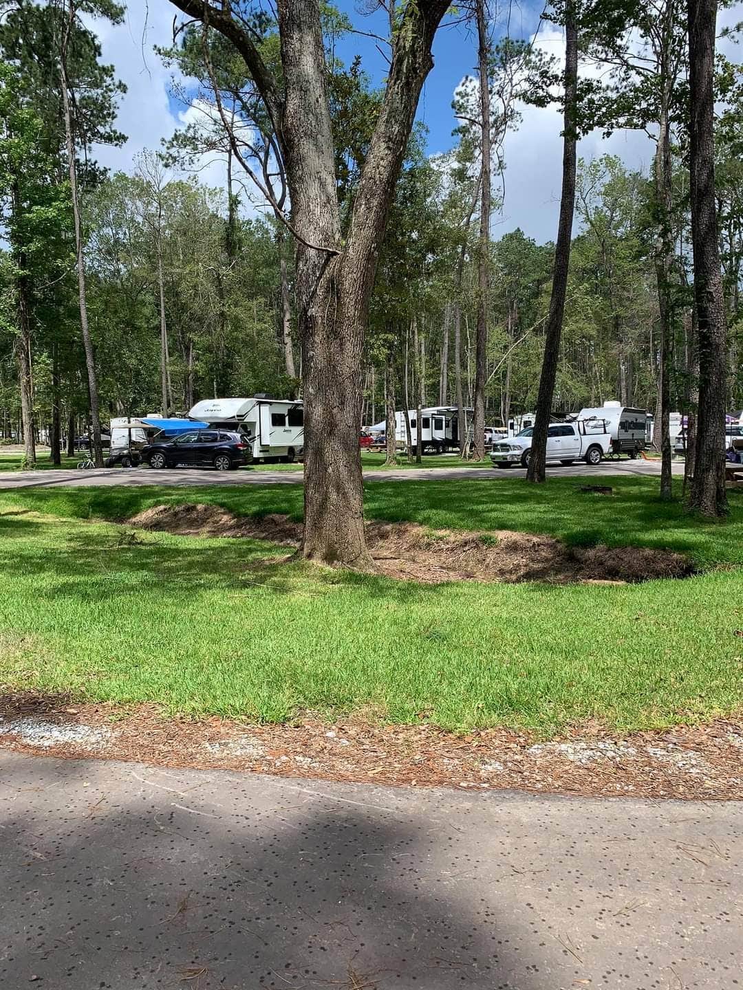 Camper-submitted photo at Fireside RV Resort near Franklinton, LA