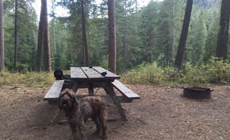 Judy T.'s photo of camping with pets at Douglas Falls Grange Park Campground near Republic, WA