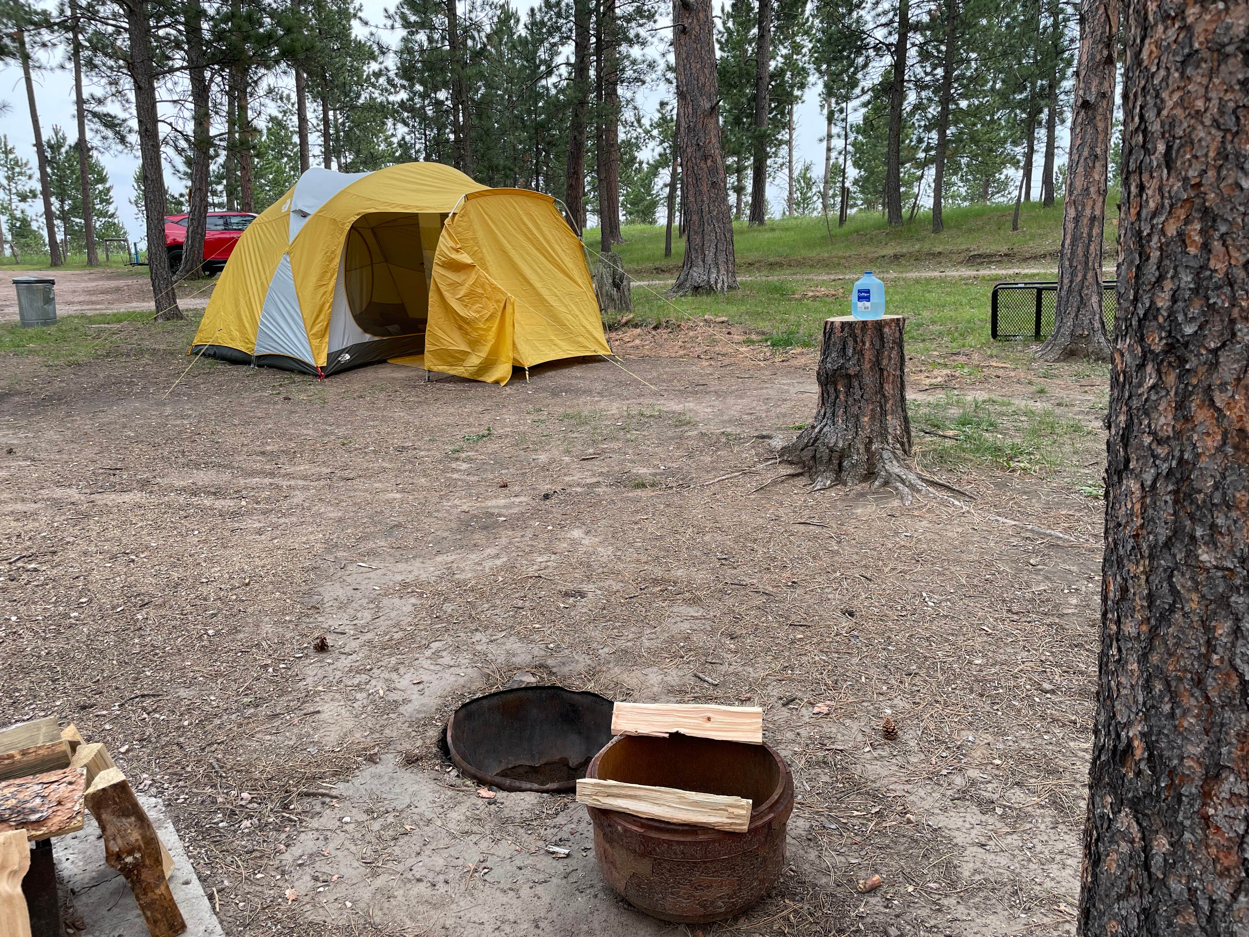 Brent K.'s photo of tent camping at Big Pine Campground near Sturgis, SD