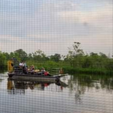 Review photo of Bayou Segnette State Park Campground by Christy P., October 30, 2021